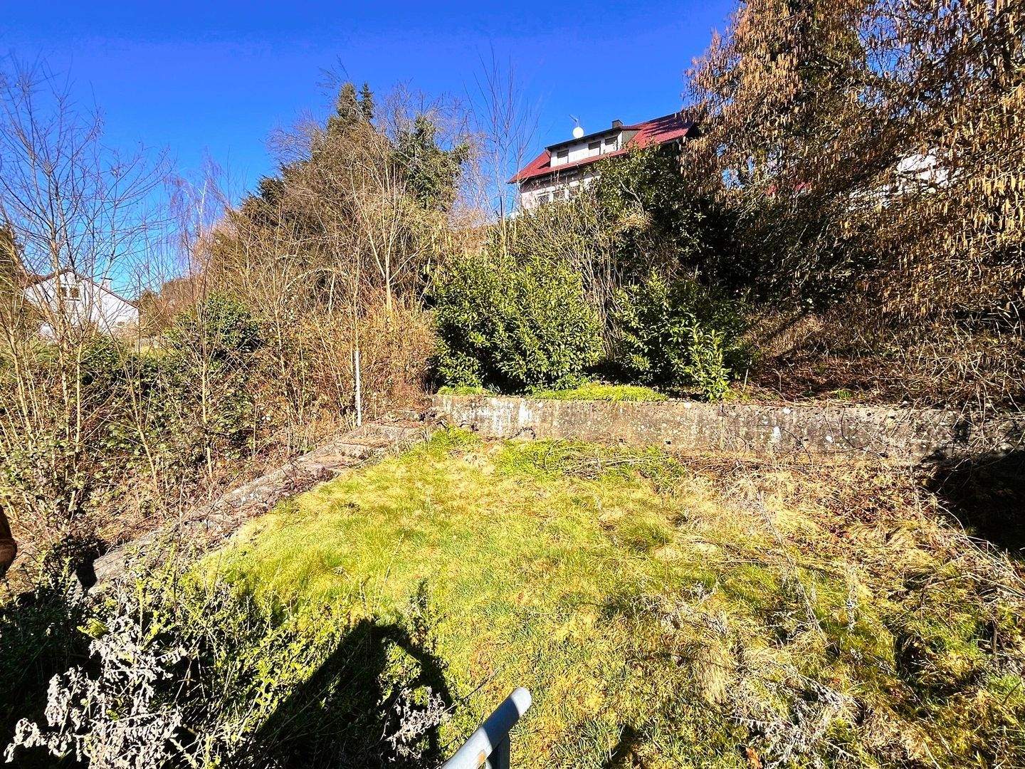 Immobilie in Kandern - Ihr Logenplatz über Kandern-Riedlingen:  Anwesen mit drei Wohnungen, Garten  und Umschwung - Bild 3