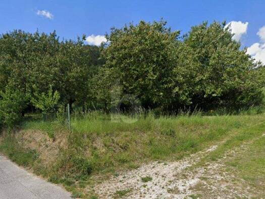 Grundstück zum Kauf 550.000 € 2.767 m² Grundstück Nußdorf ob der Traisen 3134