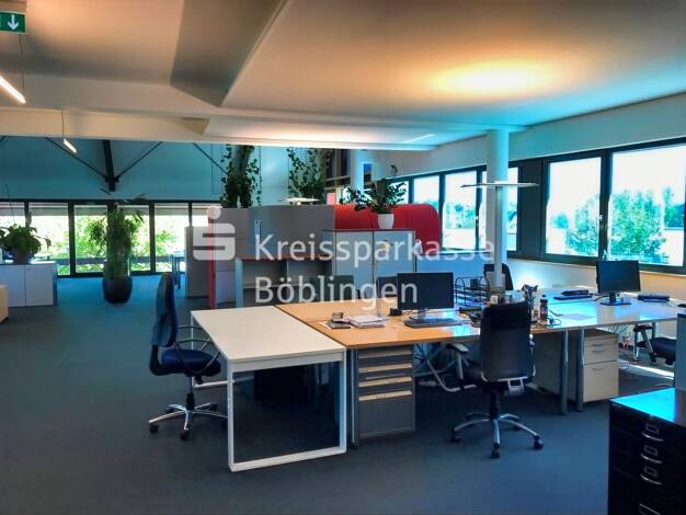Büro zur Miete 261 m² Bürofläche Herrenberg 71083