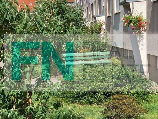 Wohnung zur Miete 320 € 2 Zimmer 49,3 m² 3. Geschoss Windmühlenweg 7d Bad Düben 04849