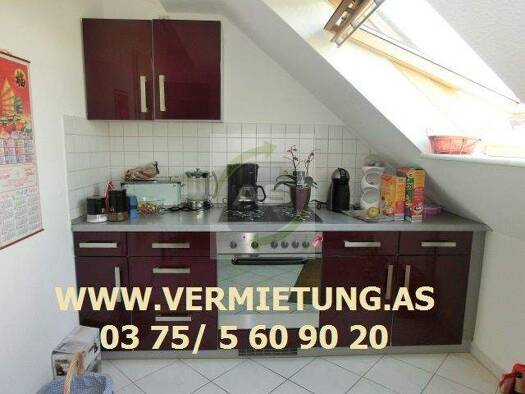 Wohnung zur Miete 295 € 1 Zimmer 42,2 m² 3. Geschoss Crimmitschauer Straße 23 Innenstadt Zwickau 08056