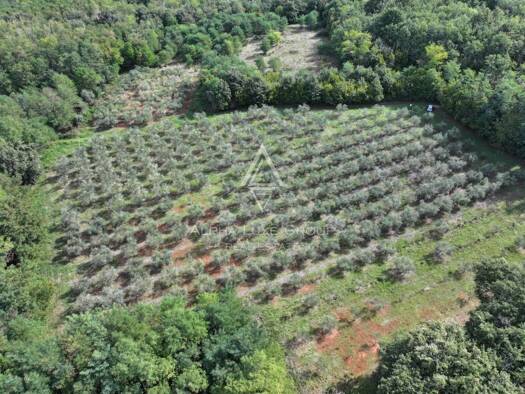 Wohn- und Gewerbegrundstück zum Kauf 120.000 € Kaštelir, Kaštelir-Labinci Kaštelir 52464