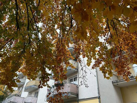 Studio zum Kauf 48.500 € 1 Zimmer 23,5 m² 3. Geschoss Eisenach 99817