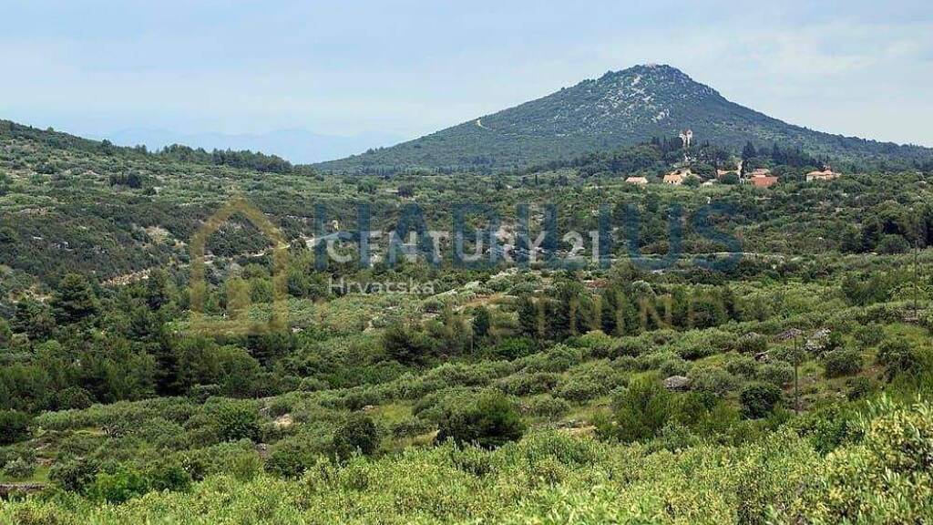 Land-/Forstwirtschaft zum Kauf 120.000 € Jelsa