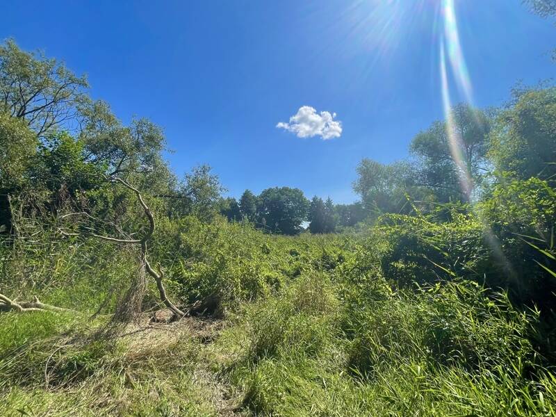 Property thumbnail 31