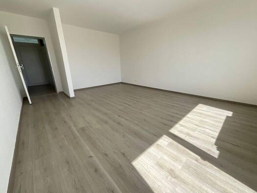 Wohnung zur Miete 424 € 2 Zimmer 45 m² 1. Geschoss frei ab sofort Brüningheide 117 Kinderhaus Münster 48159