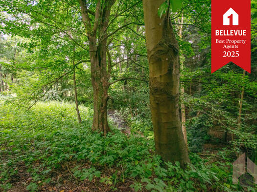 Grundstück zum Kauf 165.000 € 740 m² Grundstück Halft Eitorf / Halft 53783