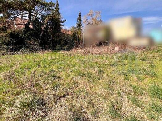 Grundstück zum Kauf 222.000 € 651 m² Grundstück Grünstadt Grünstadt 67269