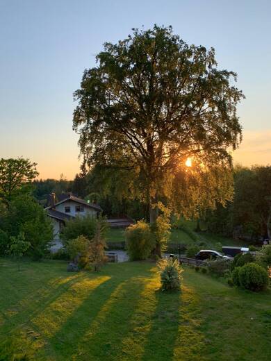 Wohnung zur Miete 1.450 € 2,5 Zimmer 100 m² Geschoss EG/1 frei ab sofort Alpe Icking 82057
