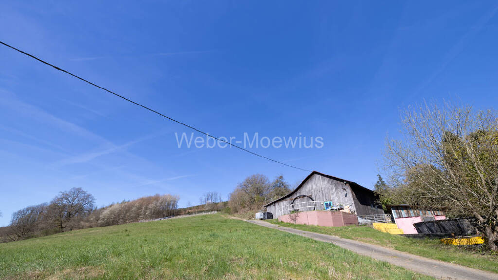 Land-/Forstwirtschaft zum Kauf 80.000 € 20.839 m² Grundstück Ellingen Morsbach / Ellingen 51597