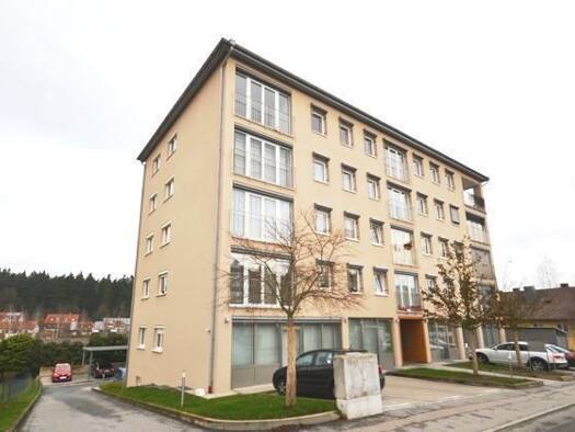 Wohnung zur Miete 465 € 2 Zimmer 58,3 m² 1. Geschoss frei ab 01.05.2027 Grubweg Passau 94034