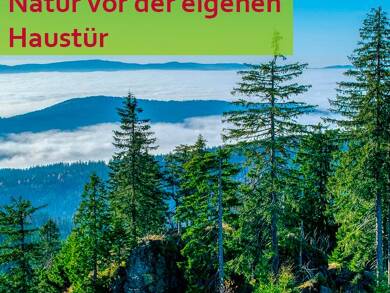 Einfamilienhaus zum Kauf provisionsfrei 396.282 € 4 Zimmer 125 m² 550 m² Grundstück Hof 95030