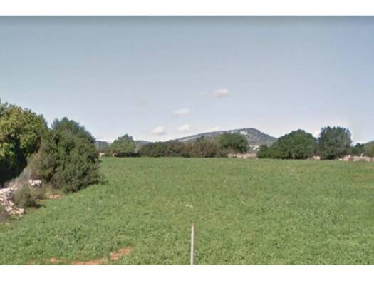 Acker-/Waldstück zum Kauf 650.000 € Santanyí 07650