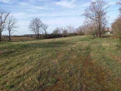 Grundstück zum Kauf provisionsfrei 9.060 m² Grundstück An der Vogelweide Burghausen-Rückmarsdorf Leipzig 04178