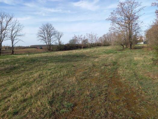 Grundstück zum Kauf provisionsfrei 9.060 m² Grundstück An der Vogelweide Burghausen-Rückmarsdorf Alt-West 04178