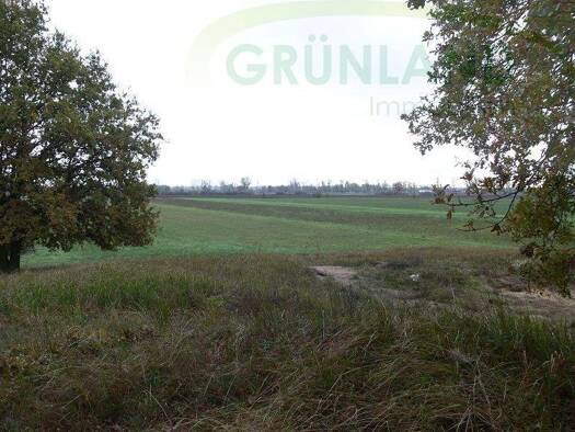 Grundstück zum Kauf 650.000 € 424.337 m² Grundstück Eisenhüttenstadt Eisenhüttenstadt 15890