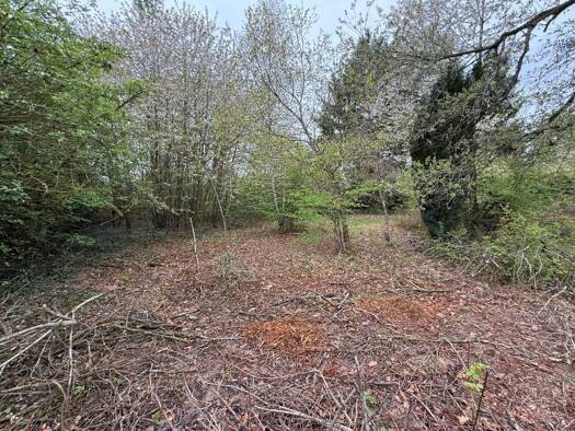 Grundstück zum Kauf 230.000 € 1.156 m² Grundstück Fischbach Kelkheim 65779