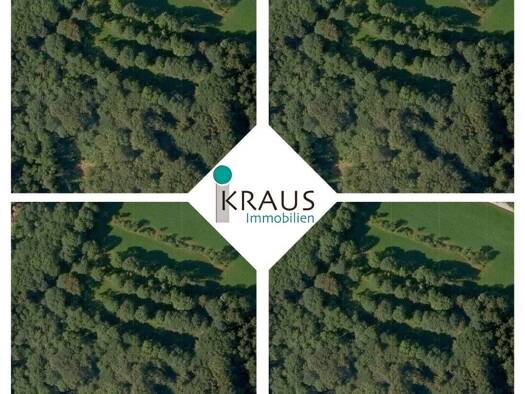 Bauernhaus zum Kauf 100.000 € 10.000 m² Grundstück Liebmannsberg Grattersdorf 94541
