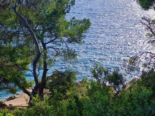 Mehrfamilienhaus zum Kauf 520.000 € 12 Zimmer 360 m² 443 m² Grundstück Čara 441 Korčula 20274
