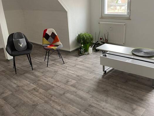Wohnung zur Miete 650 € 1 Zimmer 66 m² Geschoss 2/3 frei ab 01.11.2026 Gunzenhausen Gunzenhausen 91710
