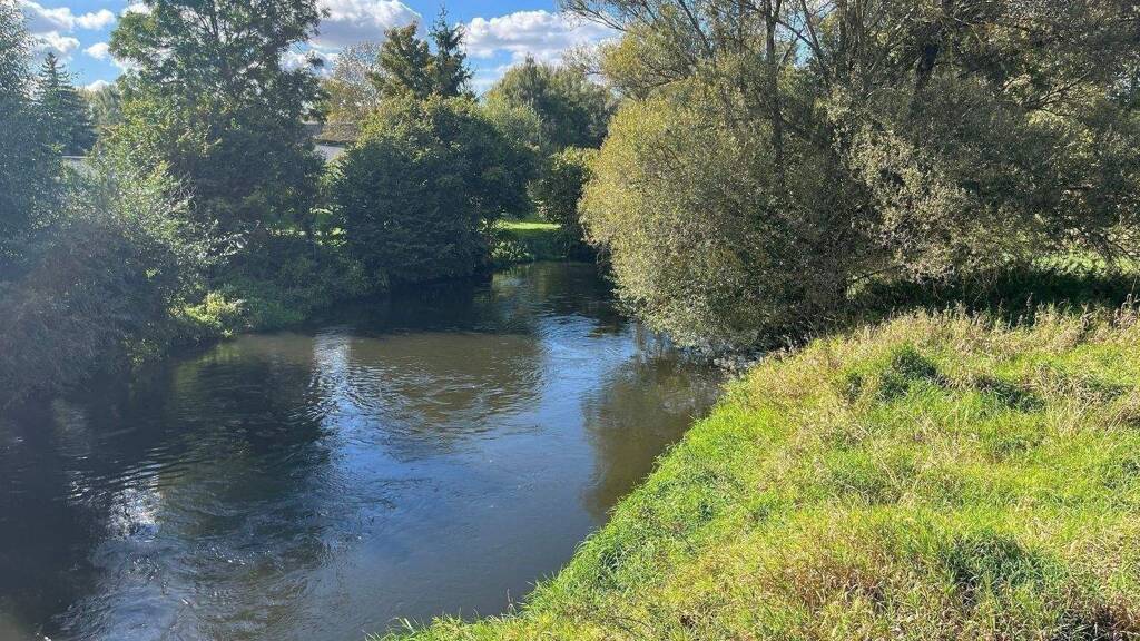 Wohnung zum Kauf provisionsfrei 470.000 € 5 Zimmer 147 m² 2. Geschoss frei ab sofort Kröllwitz Halle (Saale) 06120