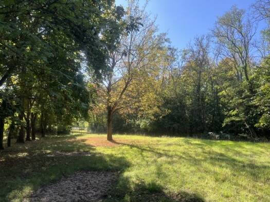 Grundstück zum Kauf provisionsfrei 55.000 € 2.000 m² Grundstück Kastanienweg Bernburg 06406