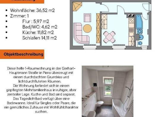 Wohnung zur Miete 290 € 36,5 m² frei ab 01.02.2026 Pirna 01796