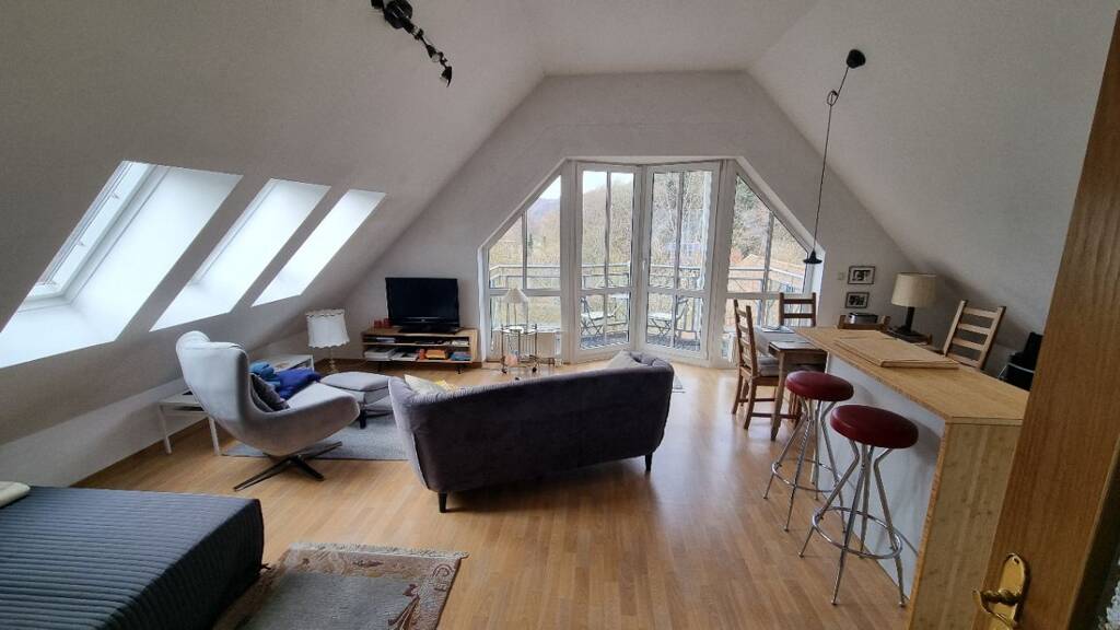 Studio zum Kauf 110.000 € 1 Zimmer 41 m² 4. Geschoss Bad Brückenau 97769