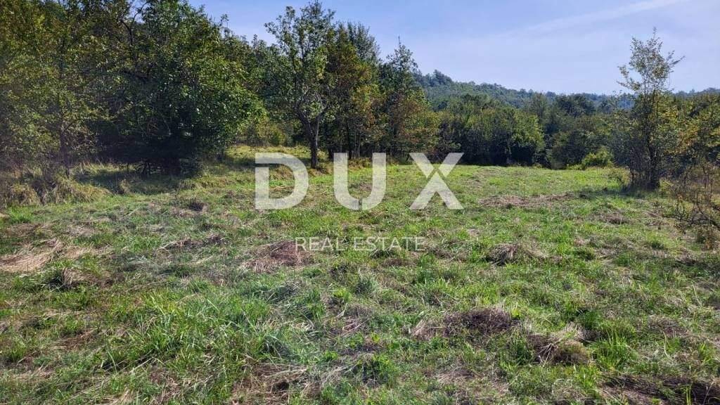 Land-/Forstwirtschaft zum Kauf 46.000 € Buzet