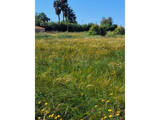Acker-/Waldstück zum Kauf 34.500 € Lorca 30813