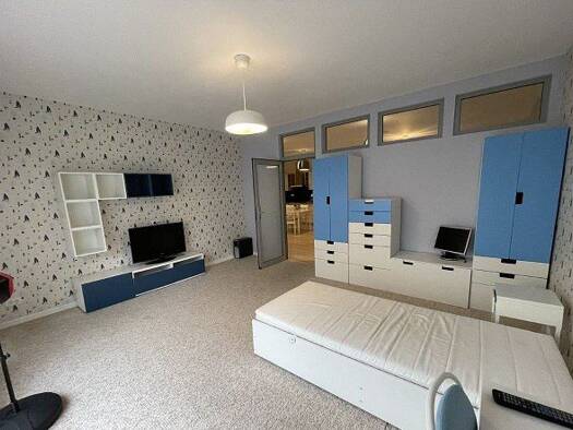 Wohnung zur Miete 602 € 2,5 Zimmer 52 m² Geschoss 1/2 frei ab 29.07.2026 Singen Singen (Hohentwiel) 78224