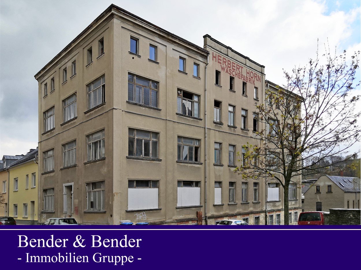 Wohnanlage zum Kauf als Kapitalanlage geeignet 155.000 € 1.368 m²<br/>Fläche 450 m²<br/>Grundstück Auerbach Auerbach/Vogtland 08209