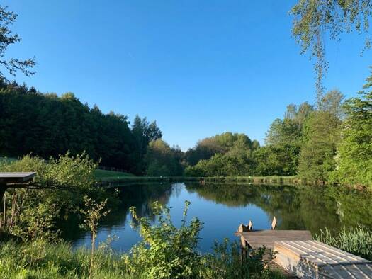 Grundstück zum Kauf provisionsfrei 249.000 € 10.900 m² Grundstück Tännesberg 92723