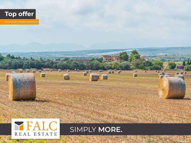 Freizeitgrundstück zum Kauf provisionsfrei 3.000.000 € 200.000 m² Grundstück Son Gual 07199