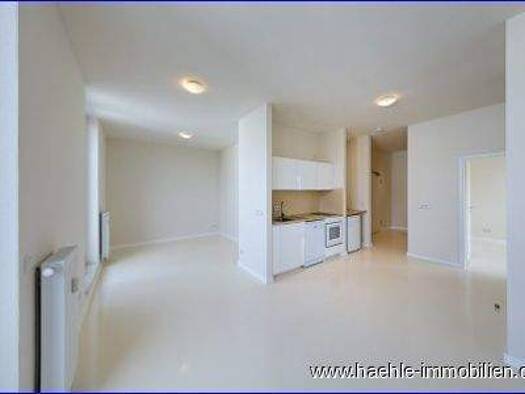 Wohnung zur Miete 728 € 2 Zimmer 59,6 m² 4. Geschoss August-Bebel-Straße 17C Strehlen Dresden 01219