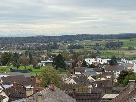 Wohnung zum Kauf 198.000 € 2,5 Zimmer 65 m² frei ab sofort Gailingen am Hochrhein 78262