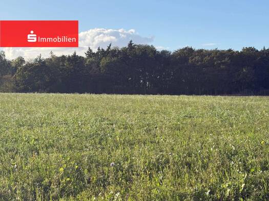 Landwirtschaftliche Fläche zum Kauf 77.500 € 15.421 m² Grundstück Sulingen Sulingen 27232