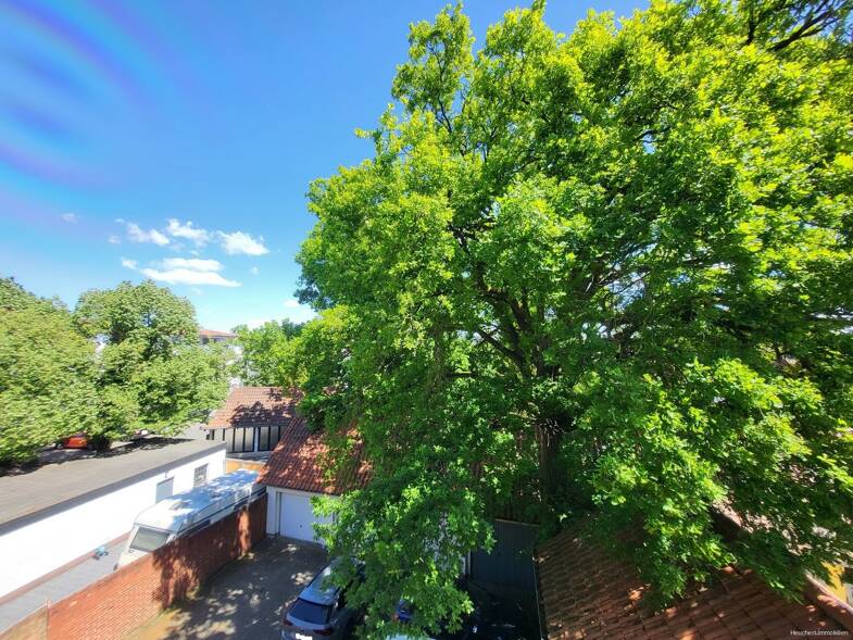 Wohnung zur Miete 650 € 3 Zimmer 80,5 m² Dachgeschoss frei ab sofort Gifhorn Gifhorn 38518