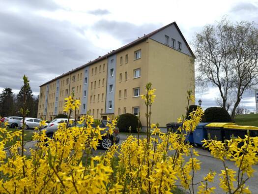 Wohnung zum Kauf 30.000 € 2 Zimmer 50,8 m² 2. Geschoss Crimmitschauer Straße 201 Langenhessen Werdau 08412