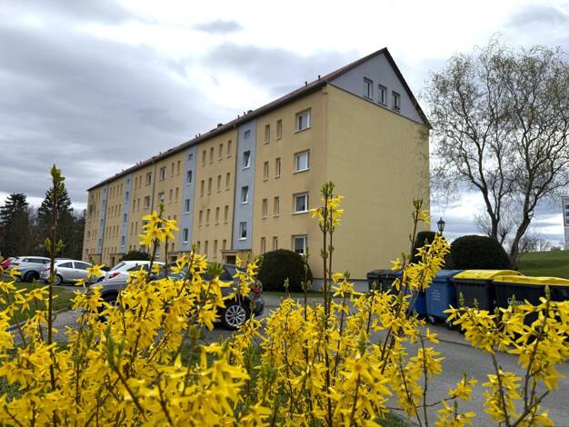 Wohnung zum Kauf 30.000 € 2 Zimmer 50,8 m² 2. Geschoss Crimmitschauer Straße 201 Langenhessen Werdau 08412