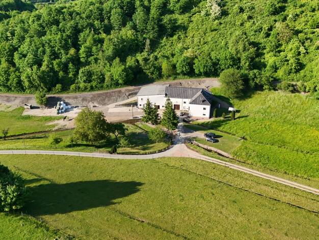 Haus zum Kauf 649.000 € 250 m² 14.000 m² Grundstück Obere Kaselmühle 1 Beurig Saarburg 54439