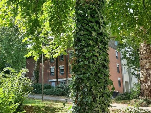 Wohnung zur Miete 574 € 2 Zimmer 54,3 m² 2. Geschoss frei ab 12.09.2026 Kronprinzenstraße 27 b Mitte Innenstadt-Ost 44135
