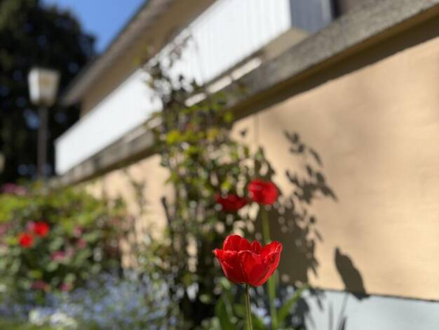 Mehrfamilienhaus zum Kauf 654.000 € 8 Zimmer 290 m² 865 m² Grundstück Trostberg Trostberg 83308