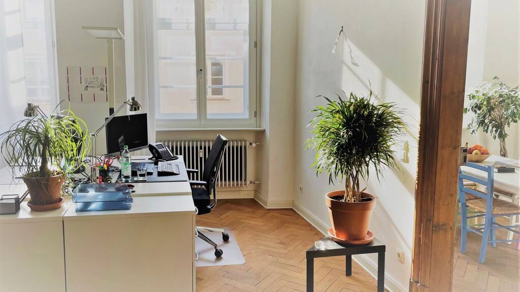 Bürofläche zur Miete provisionsfrei 200 € 4 m² Bürofläche Roßtränke Altstadt Passau 94032