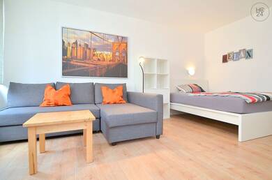 Wohnung zur Miete Wohnen auf Zeit 695 € 1 Zimmer 29 m² frei ab 02.06.2025 Gostenhof Nürnberg 90429