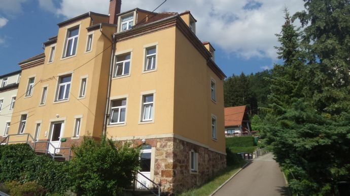 Mehrfamilienhaus zum Kauf provisionsfrei 380.000 € 12 Zimmer 320 m²<br/>Wohnfläche 500 m²<br/>Grundstück Schmiedeberg Dippoldiswalde 01744