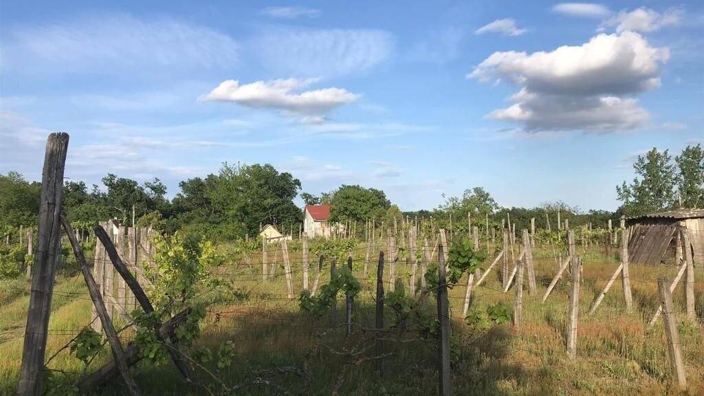 Haus zum Kauf 55.000 € 3 Zimmer 80 m² 5.500 m² Grundstück frei ab sofort Hrsz 3408-3413 Barcs 7570