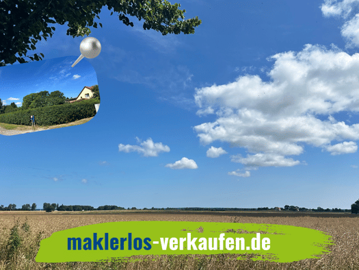 Grundstück zum Kauf provisionsfrei 95.000 € 400 m² Grundstück frei ab sofort Zecherin Usedom 17406