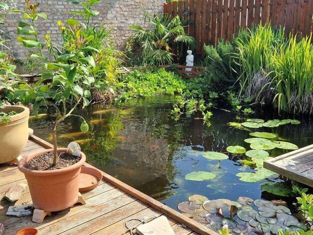 Mehrfamilienhaus zum Kauf 689.000 € 6,5 Zimmer 204 m² 595 m² Grundstück St Leon St. Leon-Rot 68789