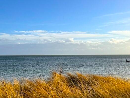 Wohnung zum Kauf 190.000 € 2 Zimmer 48 m² Großenbrode 23775